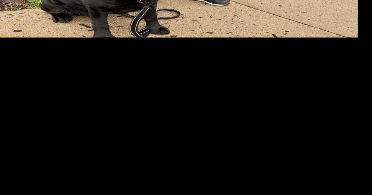 WEEKEND HAPPENINGS: Cheers to Earth Day! Here’s how to celebrate