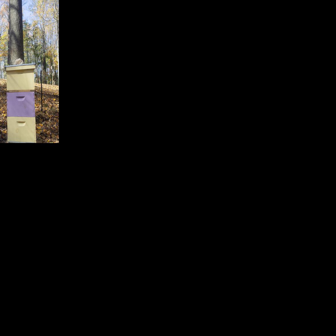 Still buzzing: State program gets Warrenton resident hooked on beekeeping