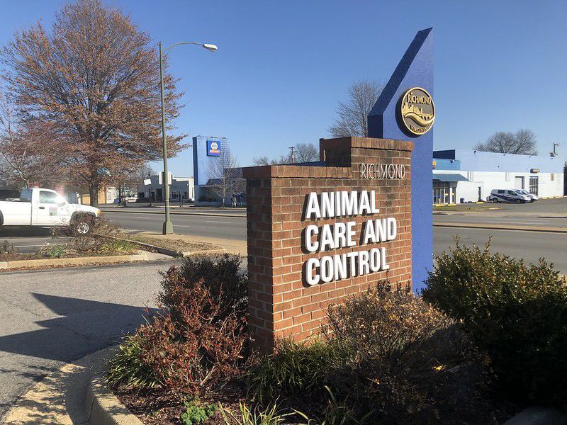Richmond animal care and control