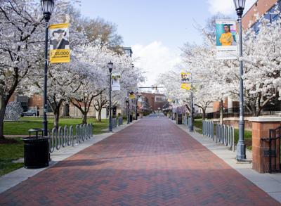 Vcu Details August Return With In Person Online Courses Free Covid 19 Testing News Princewilliamtimes Com Thanks to your generosity and strategic vision, vcu is constantly changing for the better. vcu details august return with in