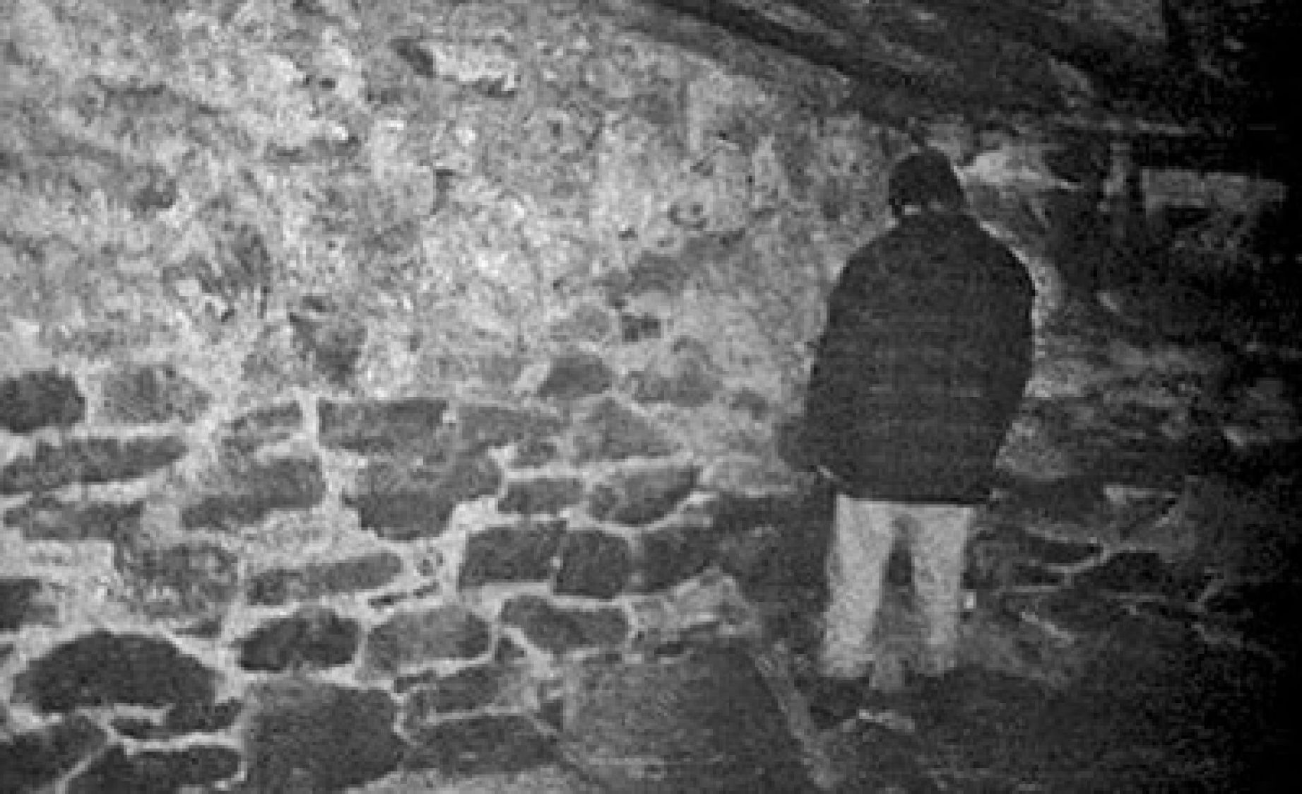 The blair witch project online clearance sub