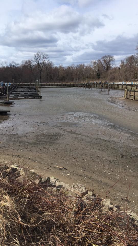 Potomac River disappears in ‘blowout’ tide News