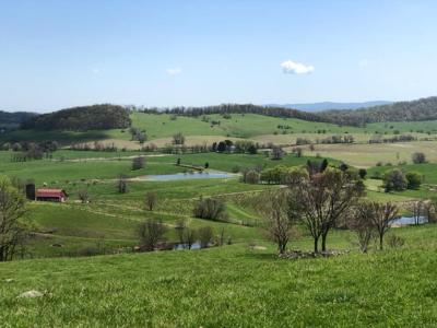 Green Grows The Land Valley View Farm Poised For Second Century Of Successful Stewardship Business Princewilliamtimes Com