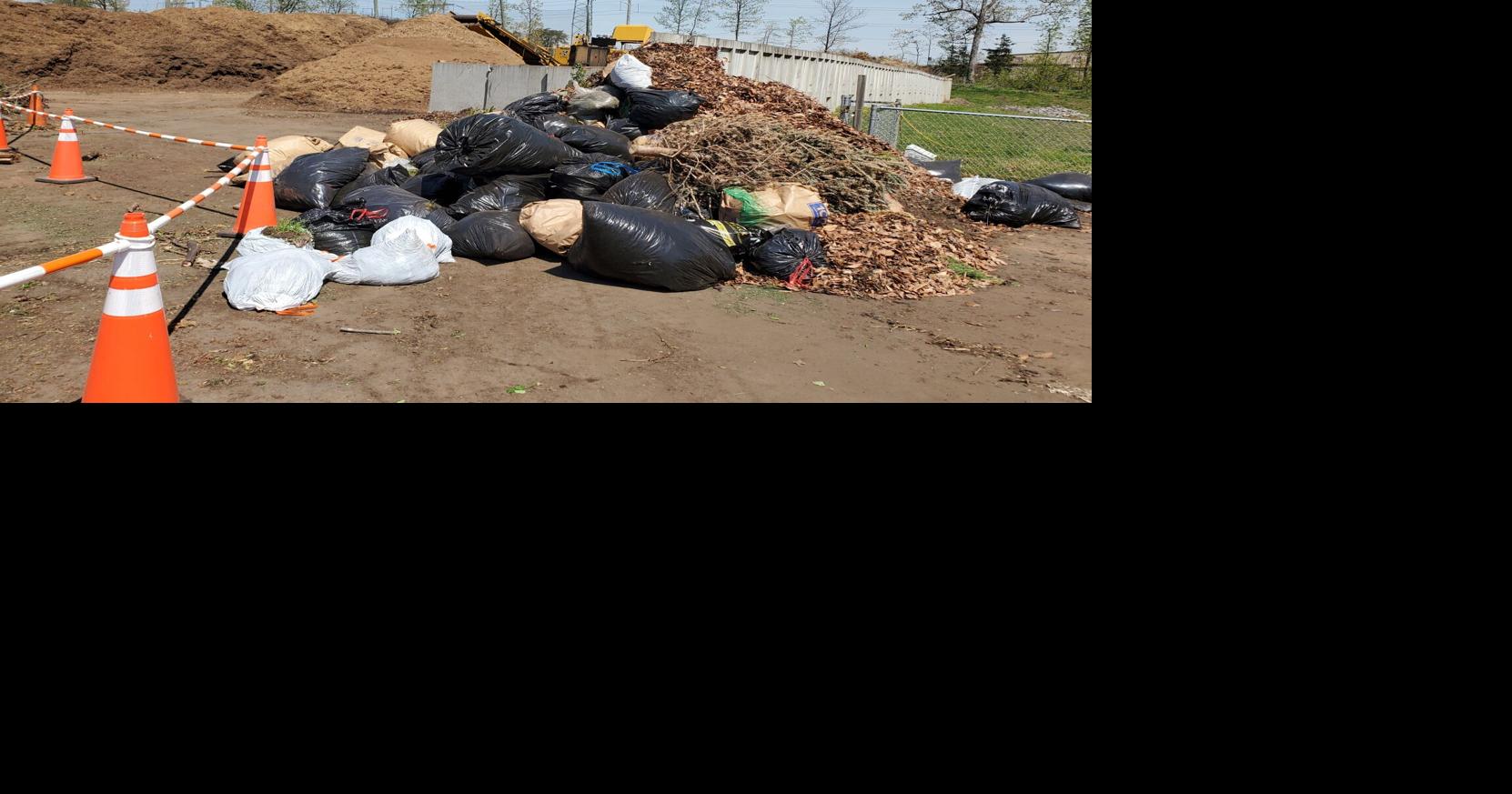 Plastic Bags Are Out and Paper Is In for Yard Waste, Fairfax County Says