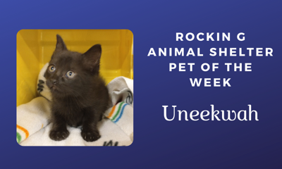 Rockin G Animal Shelter Pet of the Week Uneekwah