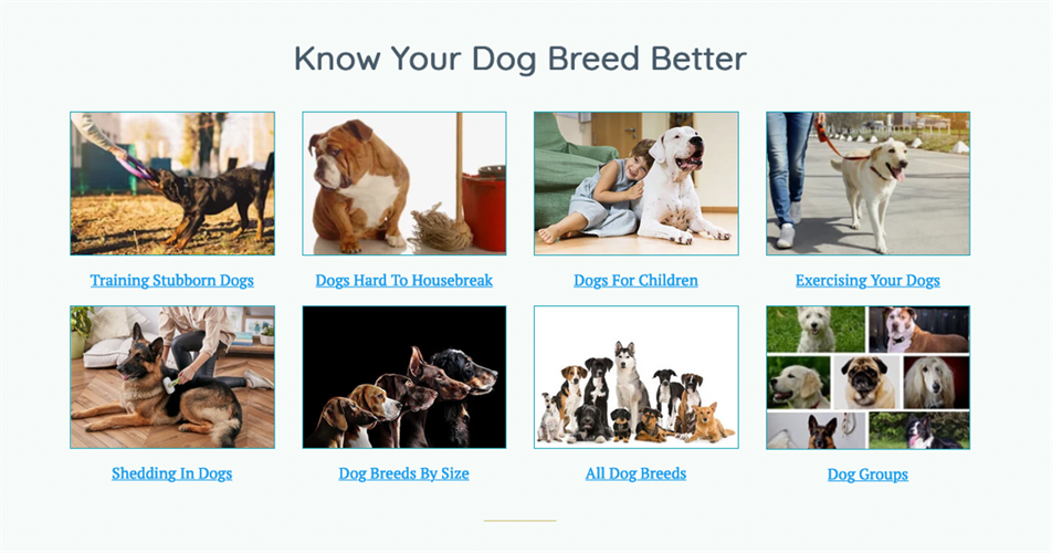 TrainPetDog Review Everything You Should Know Before Buying Student