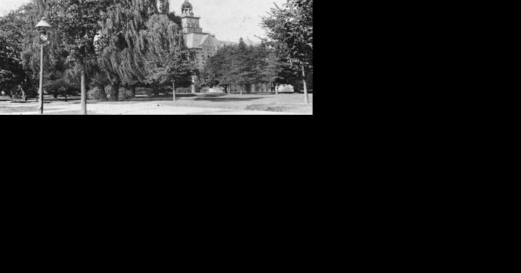 Fourth generation Old Willow to be planted on Old Main lawn - Vimarsana News
