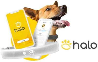 1 halo-collar-wireless-dog-fence-review