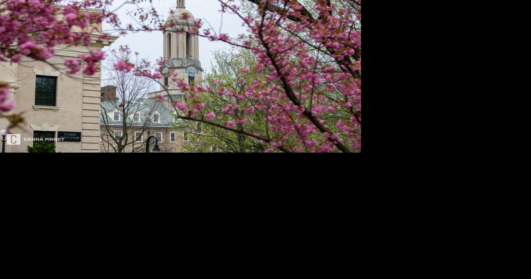 Penn State moves forest, wildlife technology programs to Altoona campus amid pending closures