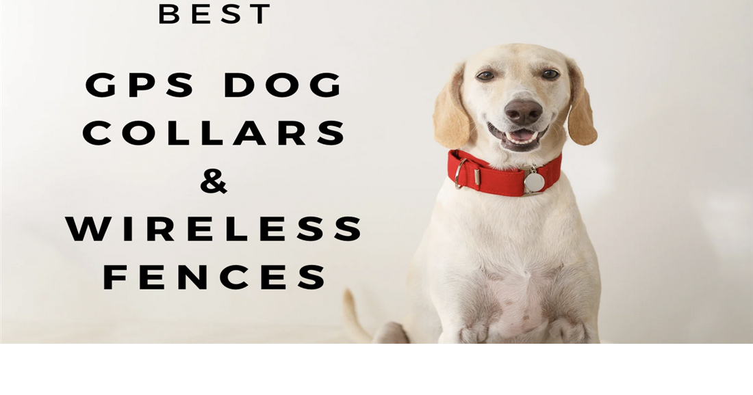 Shop GPS Wireless Dog Fences - New Low Price