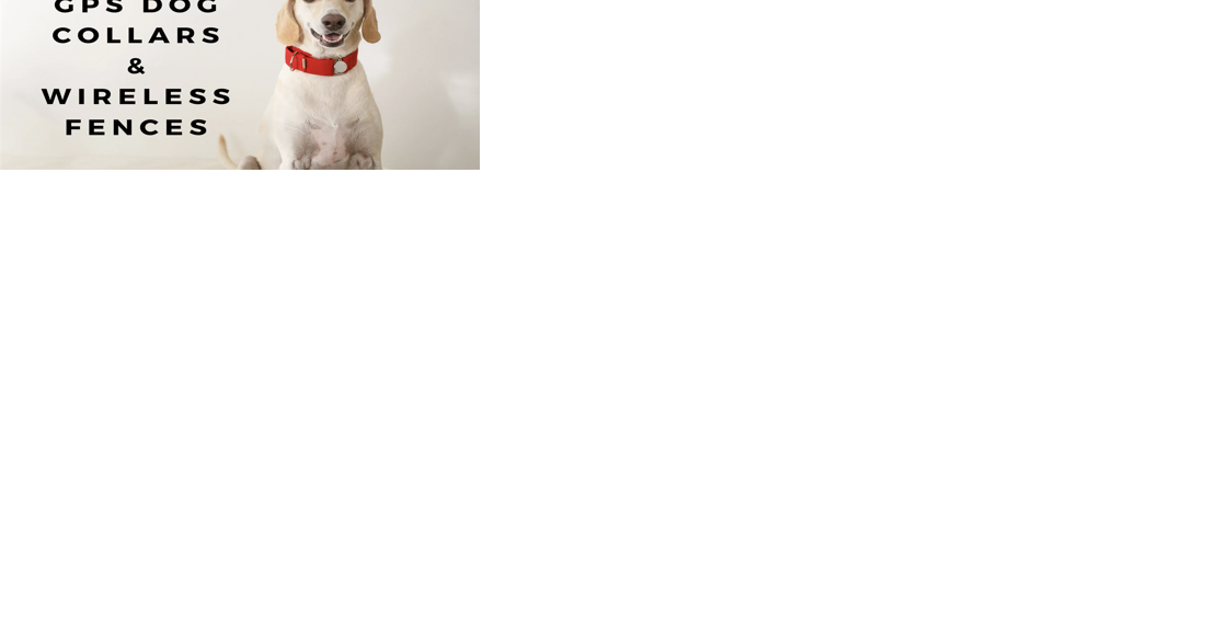 Best gps wireless dog fence clearance