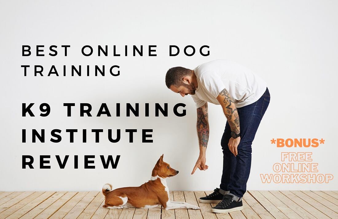 Free online hot sale dog training