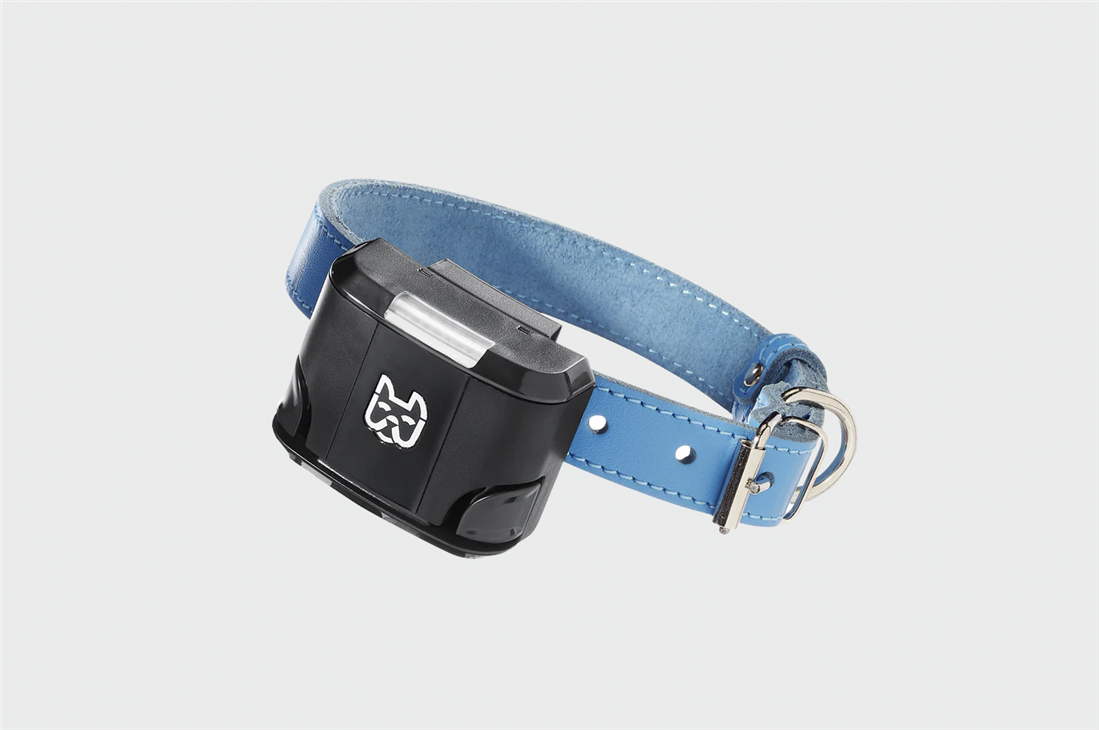 Best geofence clearance dog collar