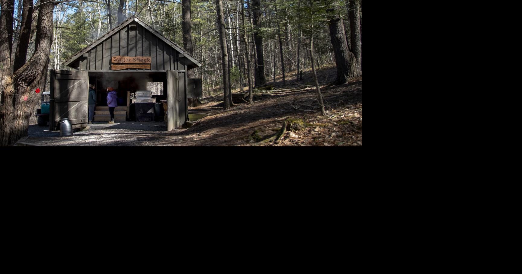 The syrup stories and maple memories of Shaver’s Creek’s Maple Harvest