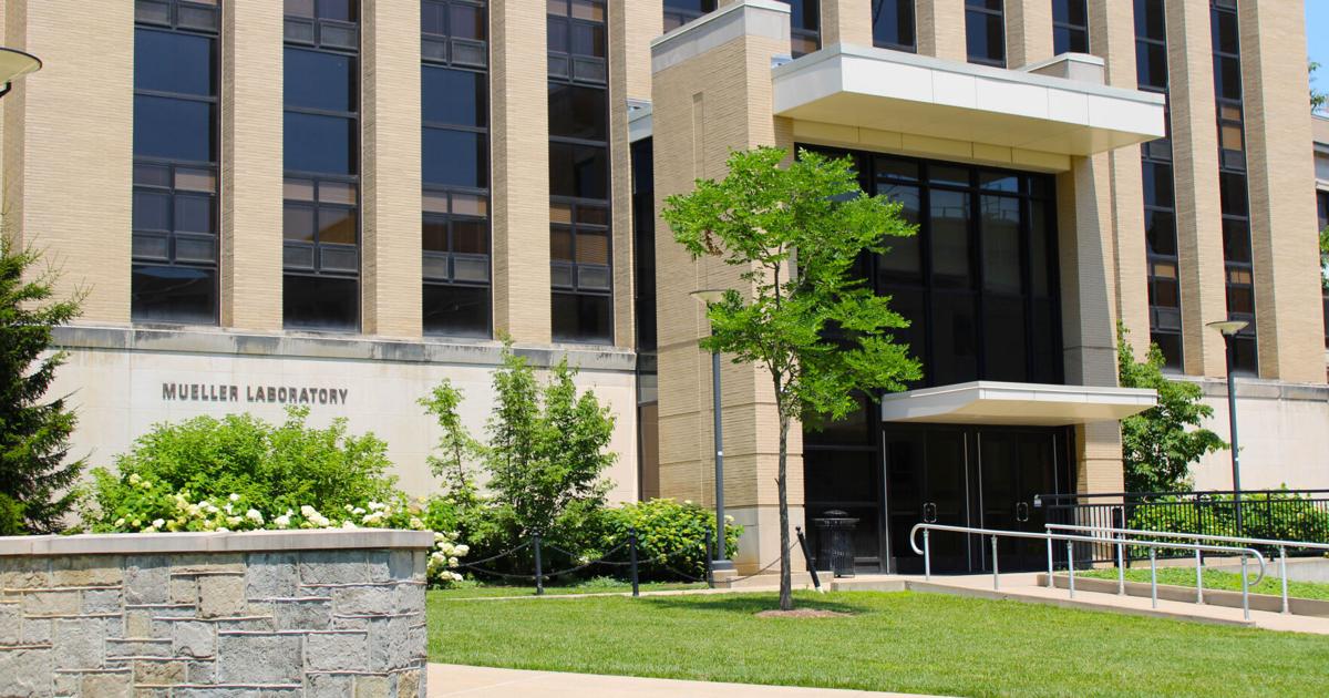 Penn State professors receive $2.9 million grant to research the effects of adolescent binge drinking