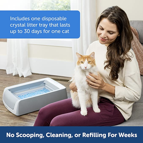 Seven of the Best Automatic Self Cleaning Litter Box Options on the