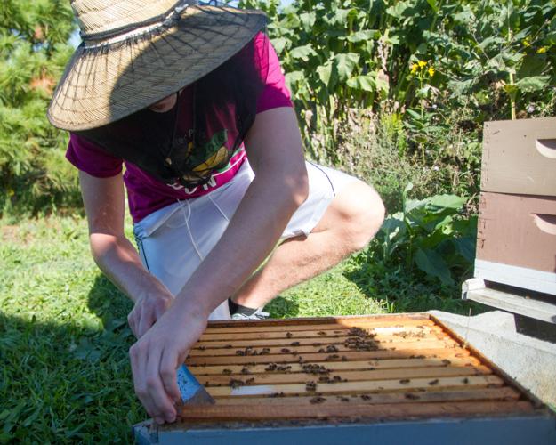 Beekeepers Club — Students — Penn State College of Agricultural
