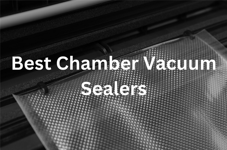 What Are the Best Chamber Vacuum Sealers in 2023? Vacuum Sealer