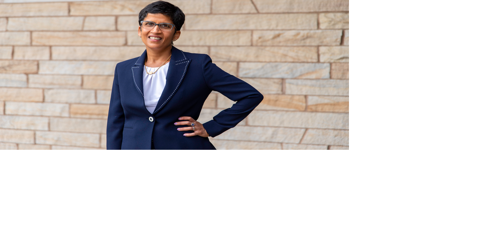 Shoba Wadhia’s immigration law work ranges from ‘practice, policy, academia’ as she continues to train ‘next generation’
