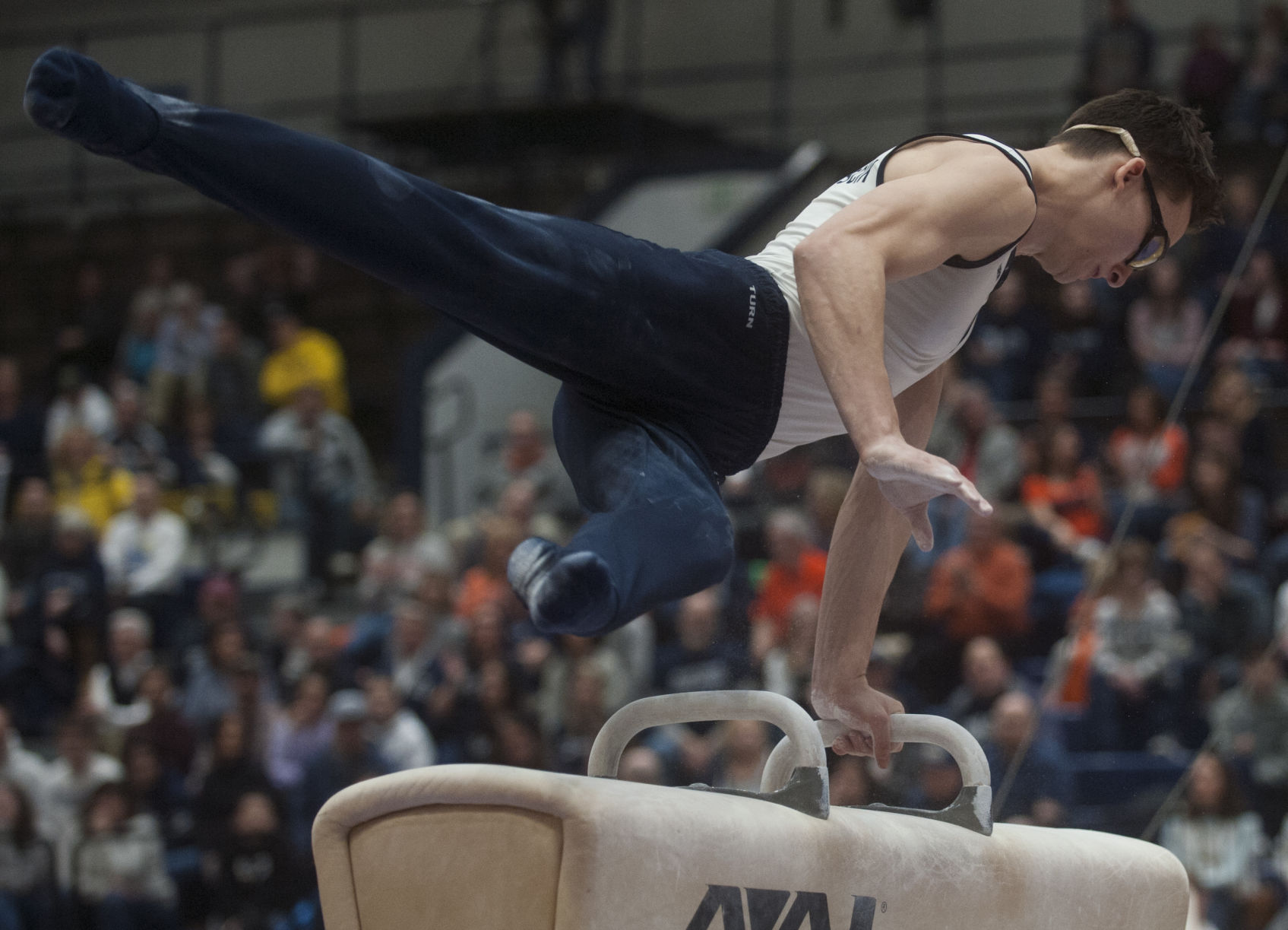 Socials Reacts To Ex Penn State Gymnast Stephen Nedoroscik 2024 Paris   5c8d7d3fd278c.image 