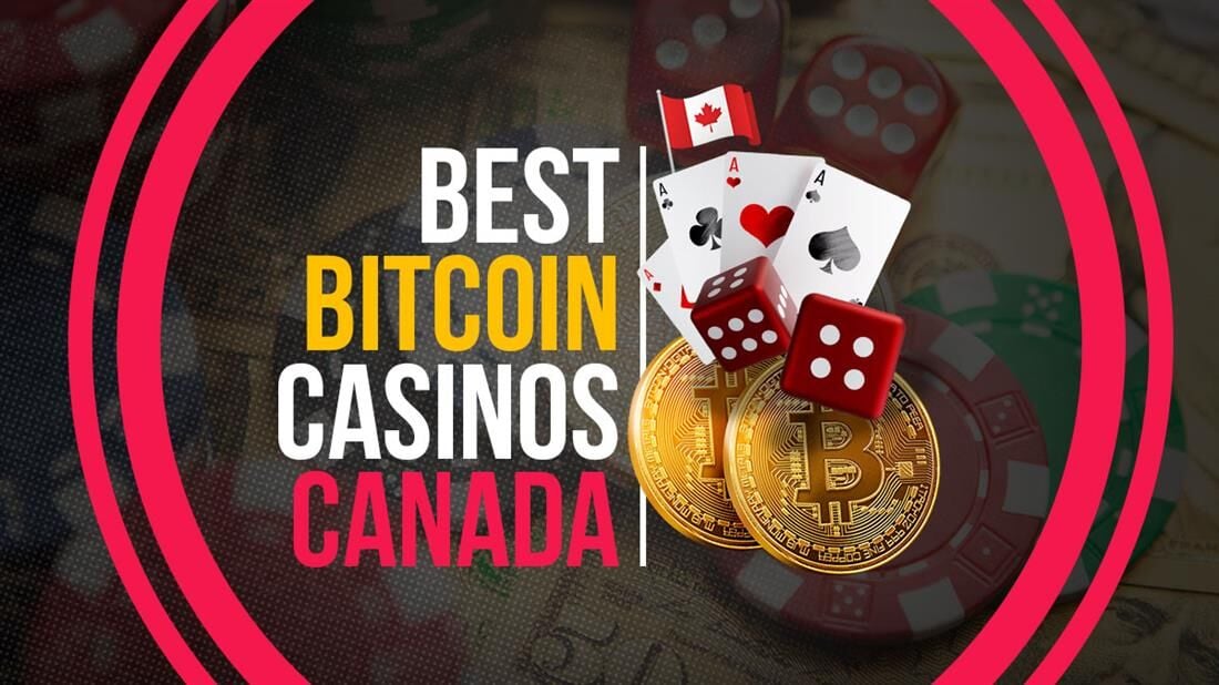 Exploring Different Types of casino crypto Games