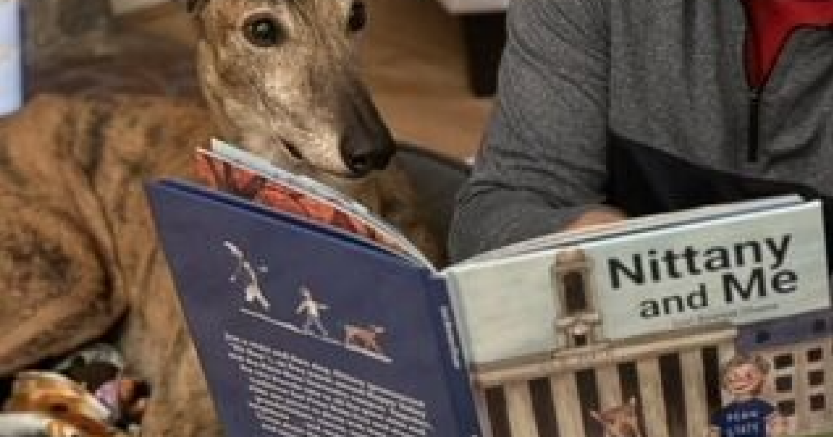 Penn State alumna writes 'love letter' to university through children's book 'Nittany and Me' | Penn State, State College News - Vimarsana News