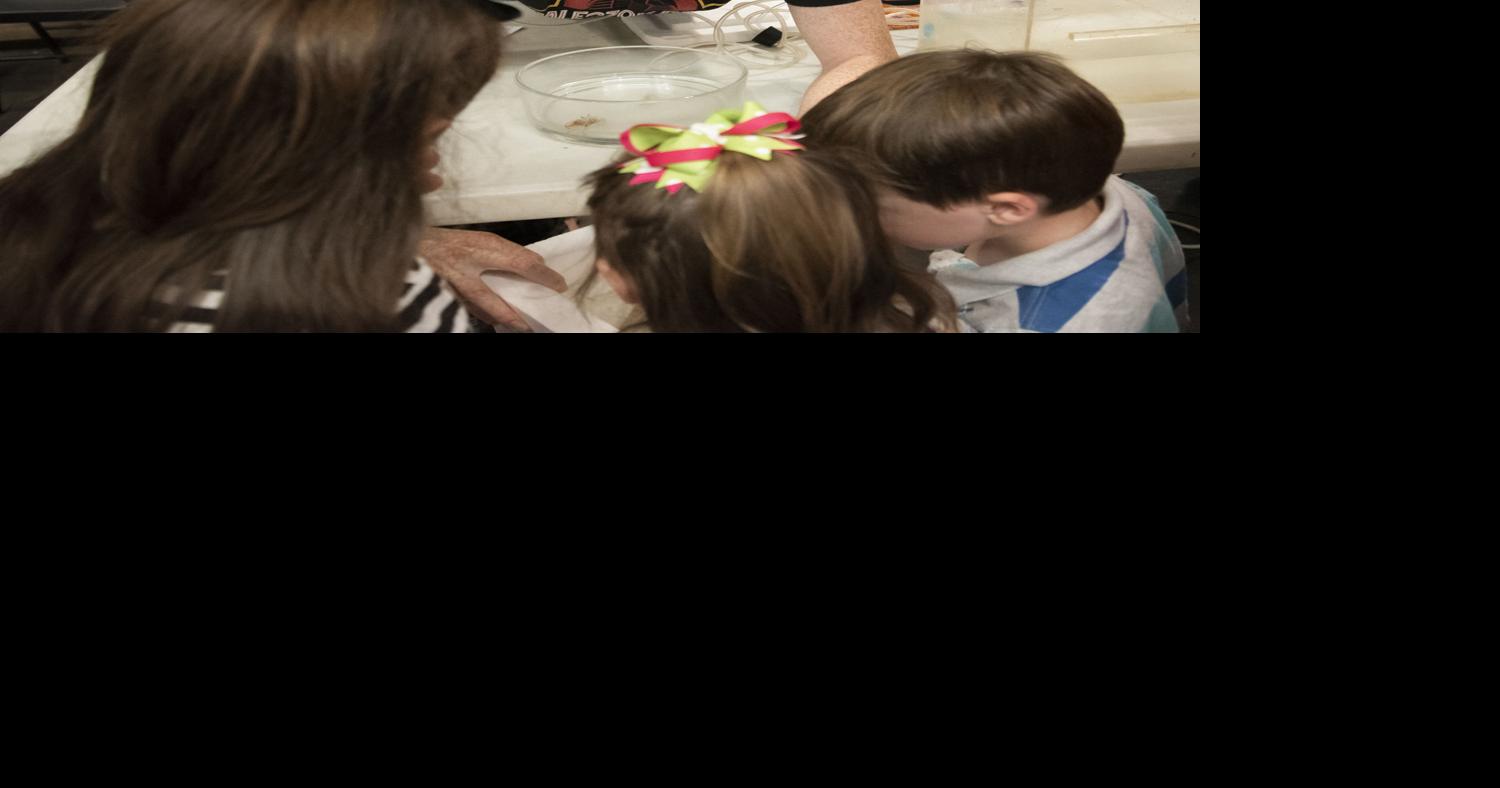 Great Insect Fair creeps, crawls and flutters its way into community ...