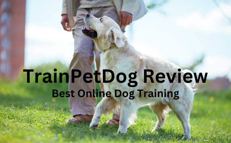 TrainPetDog Review Everything You Should Know Before Buying Student