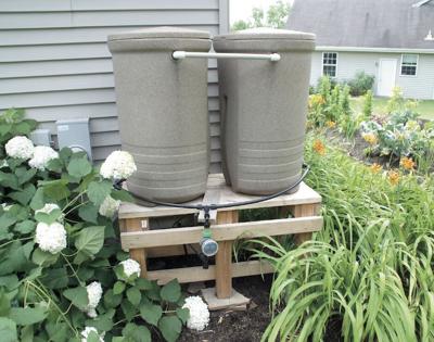 Myers: Use rain barrels to capture rainwater