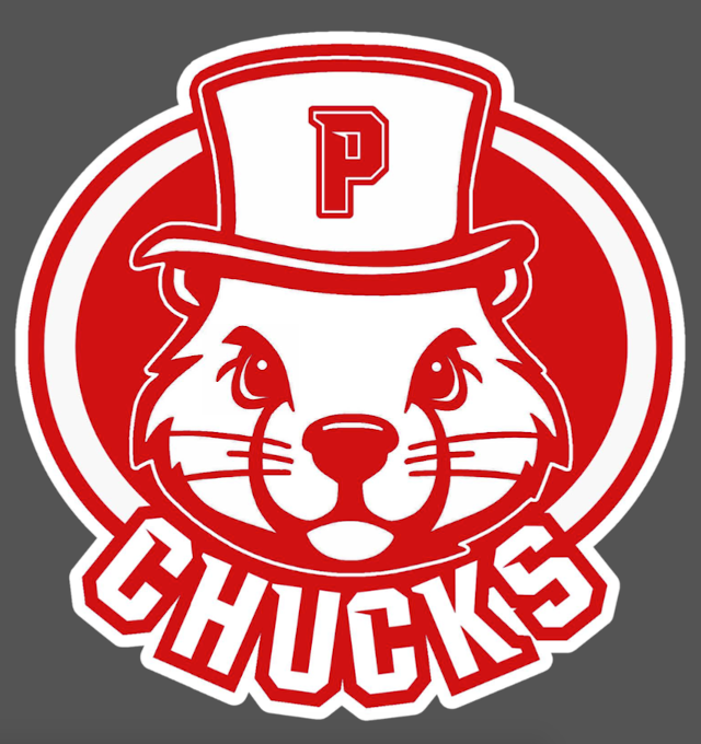 Punxsy school district unveils proposed logos News
