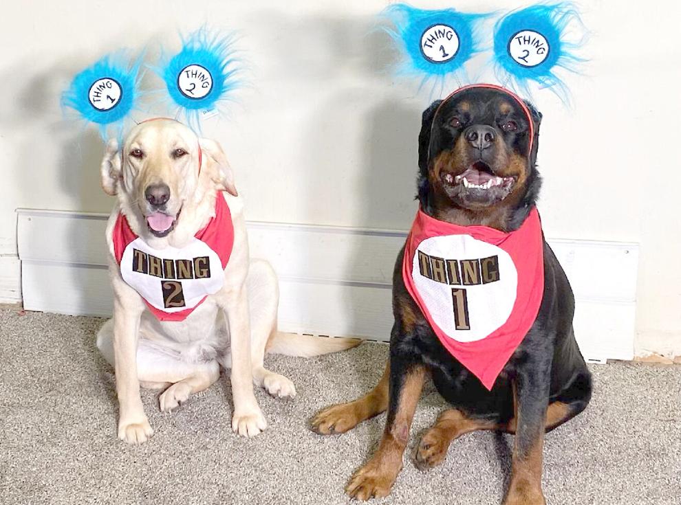 Punxsy library celebrating Dr. Seuss’s birthday Entertainment