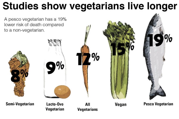vegetarian vs non vegetarian