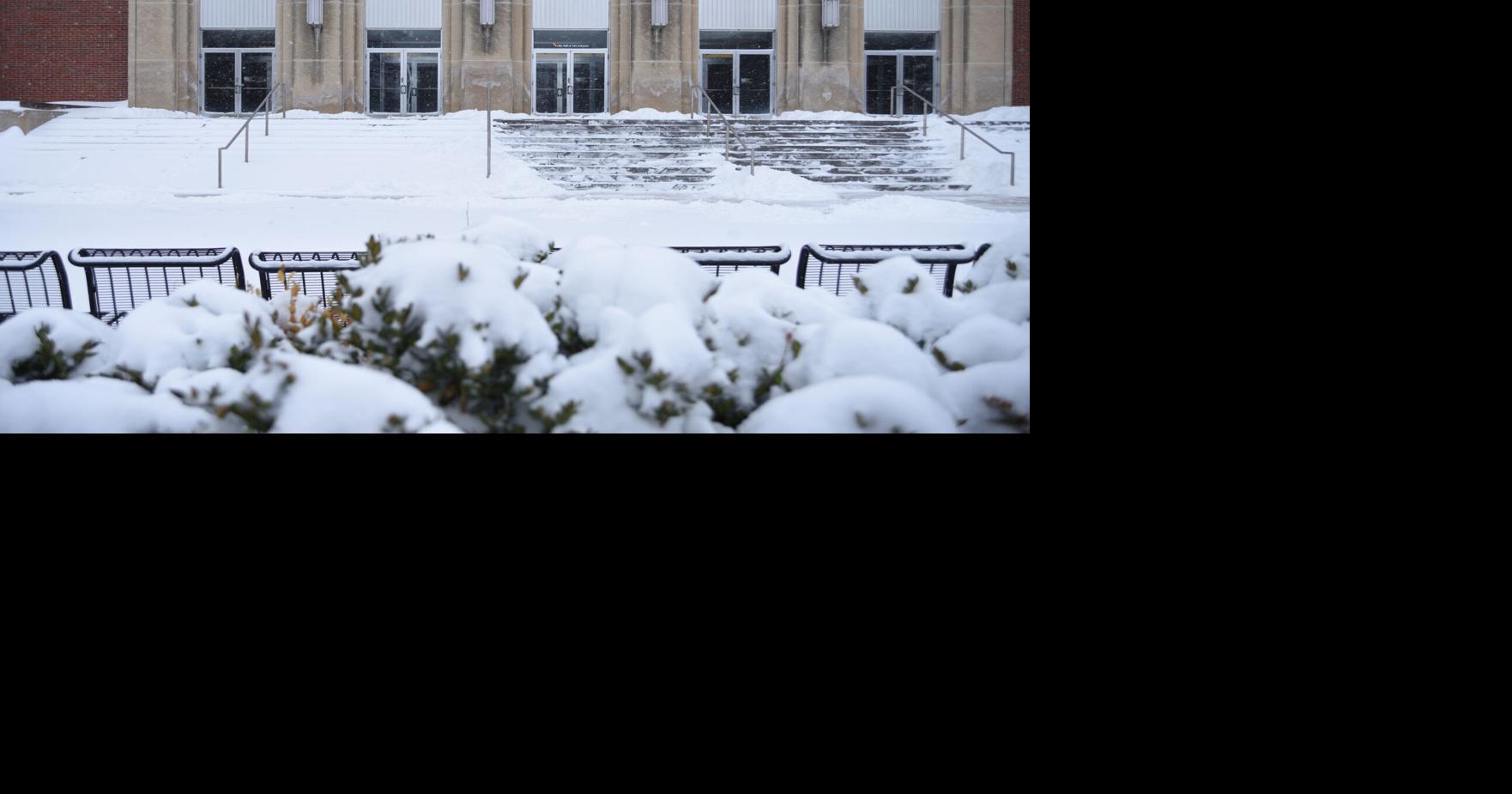 Purdue biologist breaks down bacterium behind many GMO crops, CRISPR plant edits