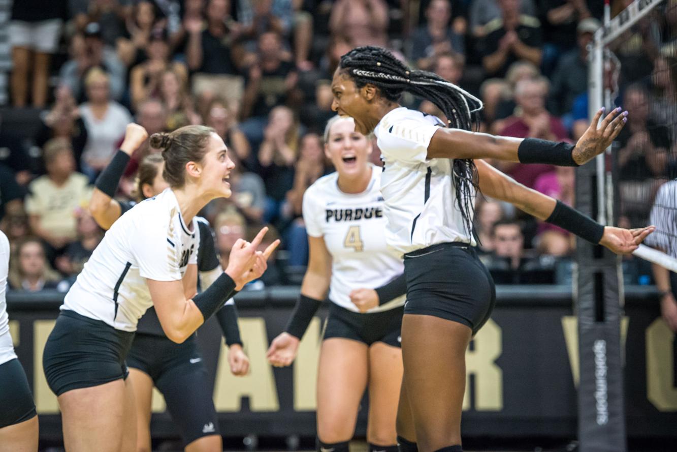 Purdue Volleyball Three players named AllAmericans Sports