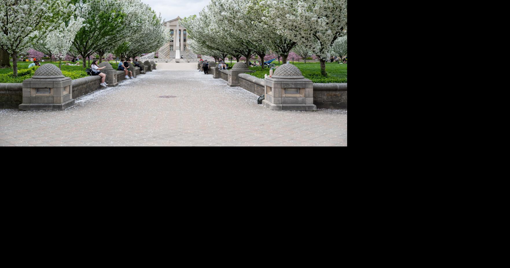 Purdue earns Tree Campus USA Award | Campus | purdueexponent.org