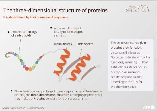 What Are Proteins Again? Nobel-winning Chemistry Explained | National ...