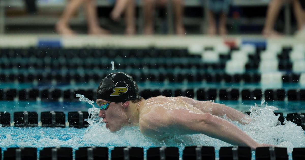 Purdue Swimming and Diving: Boilermakers win local meet in near-sweep ...