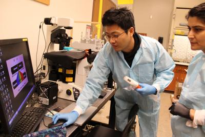 Photo Gallery: Purdue developing animal COVID test, Arezoo Ardekani and Taehong Kim work in the lab