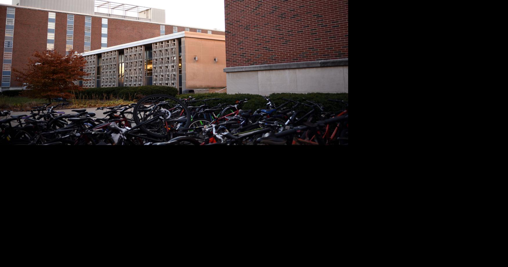 Rabies-infected bat caught in Harrison Residence Hall | Campus ...