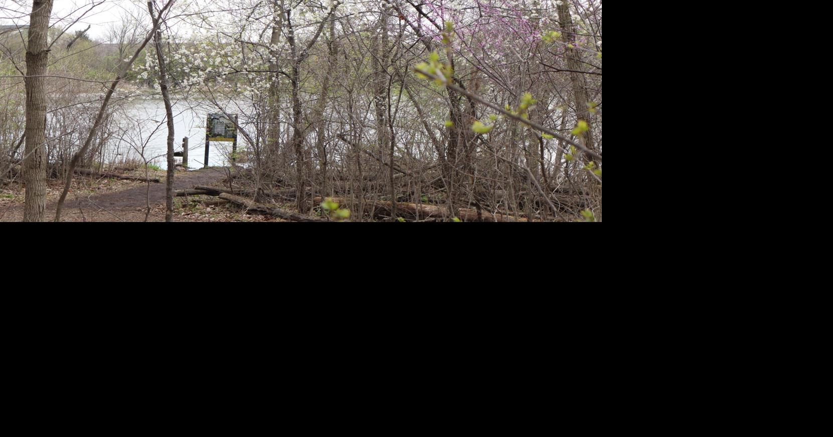 Celery Bog offers unique natural space for community, wildlife