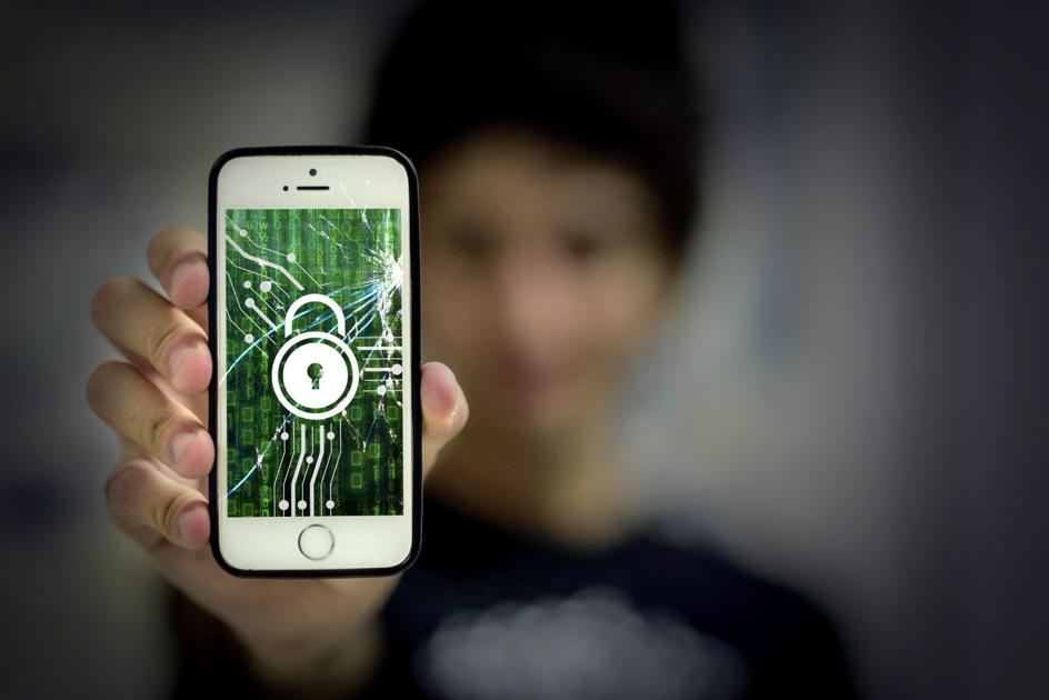 Summertime hacking boot camps obtainable for IT specialists, graduates | Campus