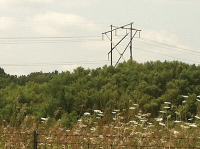 Power Poll Break Monday's campus power outage caused by pole break | Campus ...