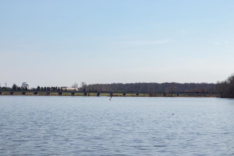 Celery Bog Nature Area City & State