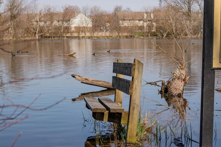 Celery Bog Nature Area City & State