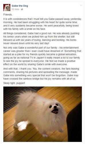 when did gabe the dog pass away