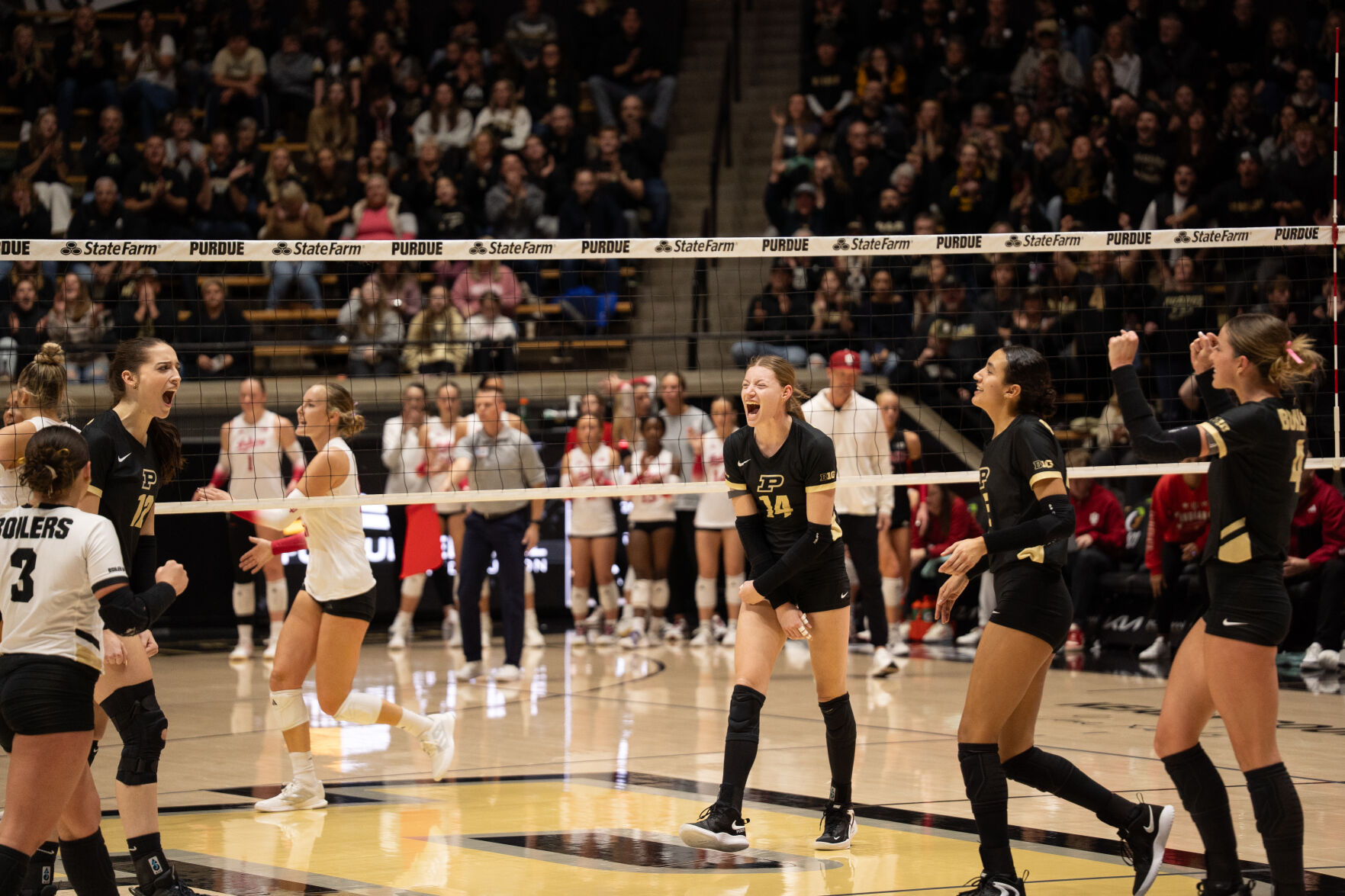 Shondell’s Boilers to return to Mackey | Volleyball | purdueexponent.org