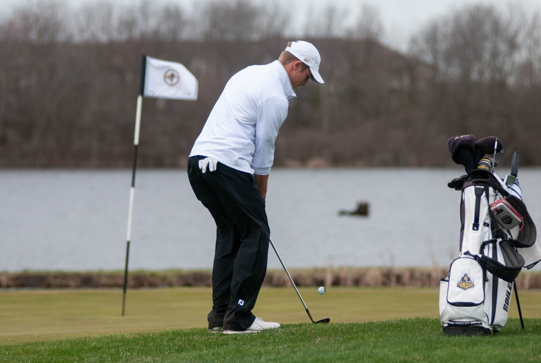 purdue golf bag
