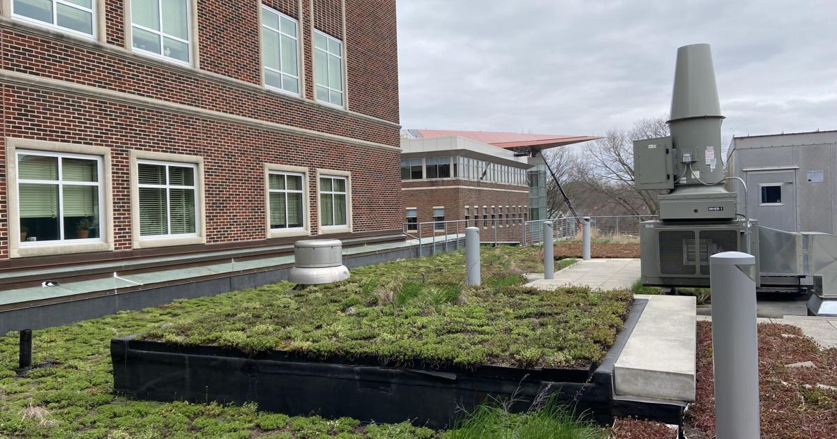 Green roof laboratory atop Delon and Elizabeth Hampton Hall of Civil Engineering | Campus ...