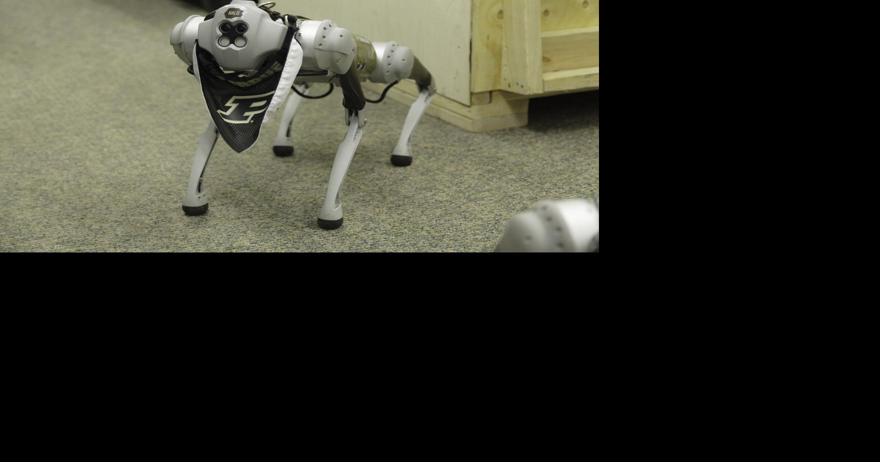 Purdue rolls out adorable, life-saving dog robots | Campus