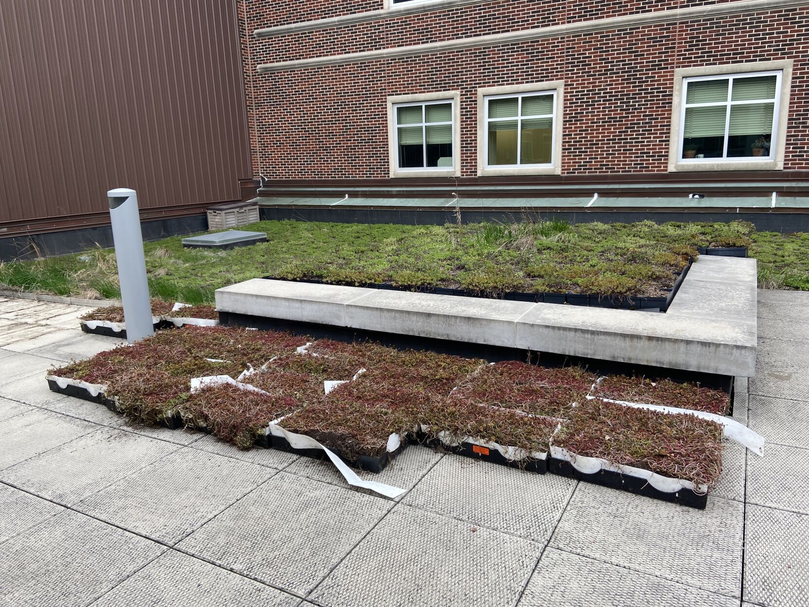 Green roof laboratory atop Delon and Elizabeth Hampton Hall of Civil Engineering | Campus ...